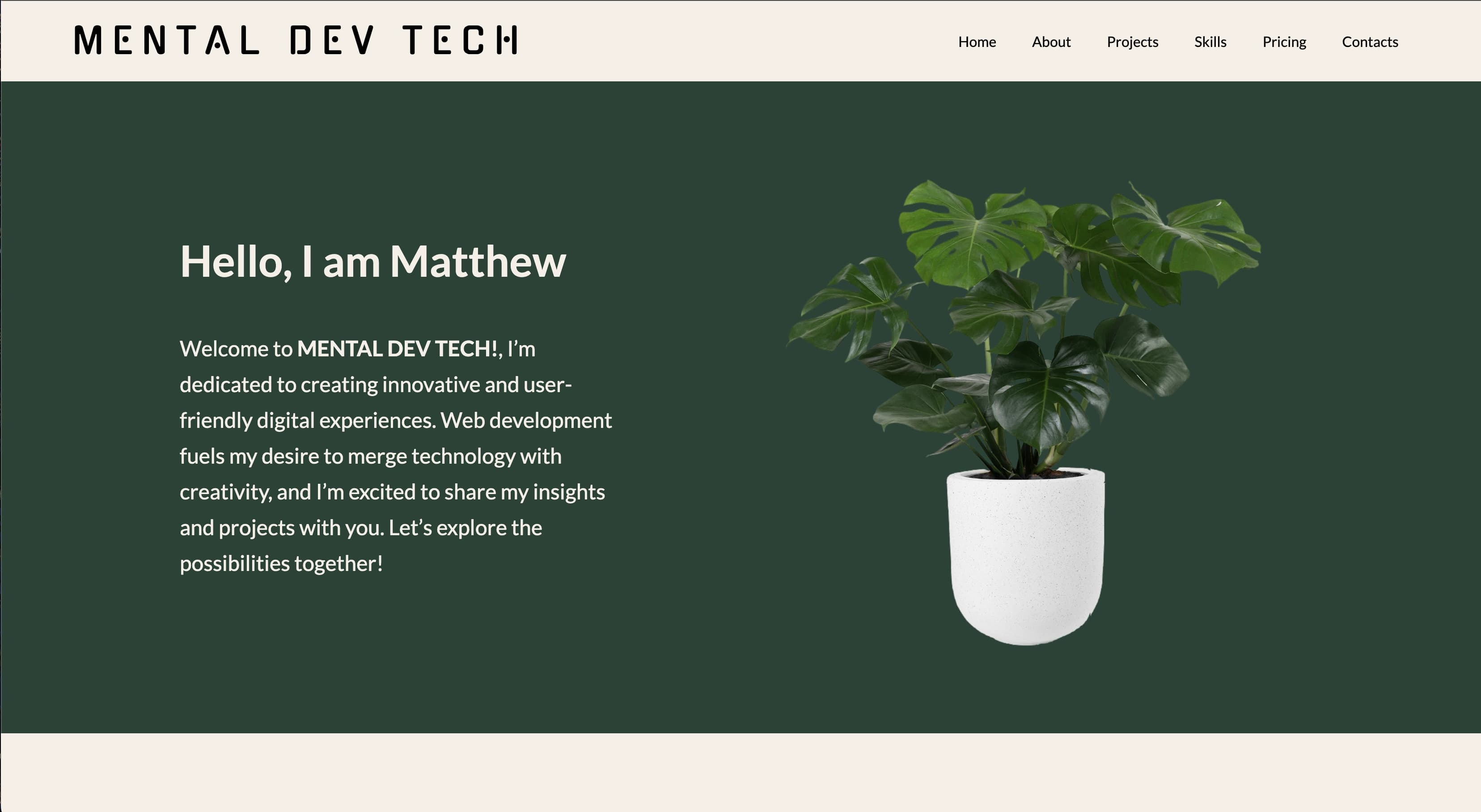 Picture of first Mental Dev Tech website